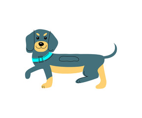 Vector illustration of dachhund dog in hand drawn sketch style. Flat and line design element isolated on white background.