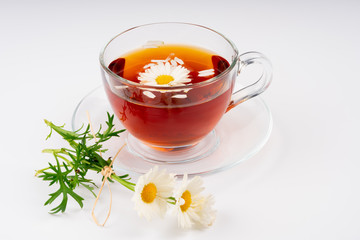 cup of tea with chamomile flowers