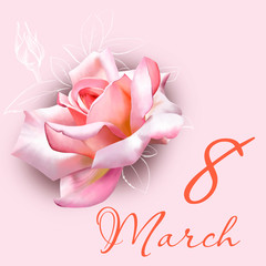Greeting card from March 8. Flower arrangement with pink rose and sketch elements. Bright pink color. International women's day postcard