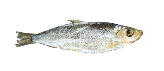 Fish of the herring family sardelle isolated on white background with clipping path.