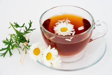cup of tea with chamomile flowers
