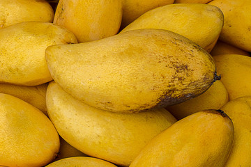 fresh yellow mango background texture