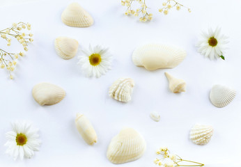 Fototapeta na wymiar White on white overhead image of seashells and flowers scattered on a white background. Flat lay. Nice background image for summer wedding.