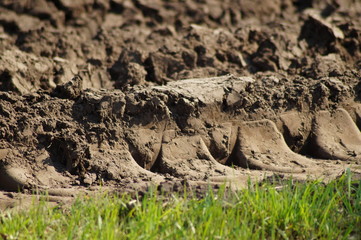 plowed field upclose
