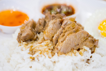 Stew pork with rice and egg