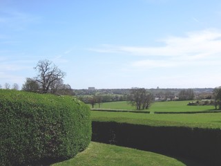 Fototapeta na wymiar Green hedges blue sky trees and fields in English sunshine