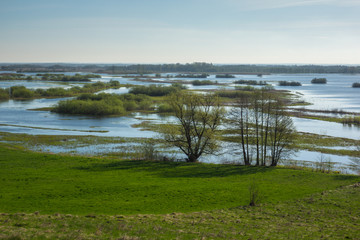 Fototapeta na wymiar Biebrza river near Burzyn, Podlaskie, Poland