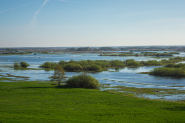 Biebrza river near Burzyn, Podlaskie, Poland