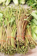 green morning glory for cooking at market