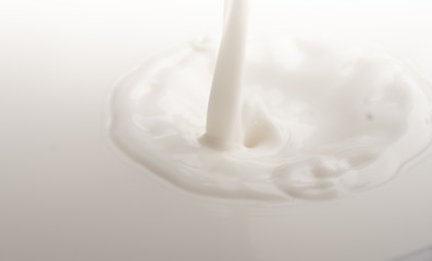Fototapeta na wymiar splash of milk 