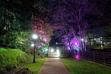 Woodford Bridge at Night