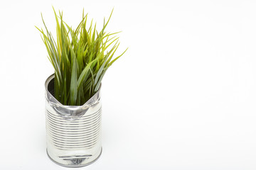 Upcycled aluminium can turned into flower pot ornament