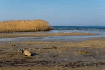Usedom baltic sea sunny day