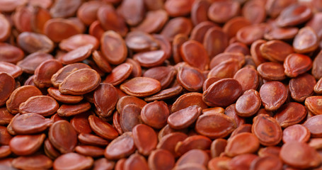 Red water melon dry seed for lunar new year