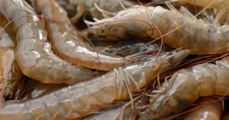 Uncooked Fresh shrimp