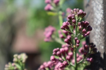 Spreewald Lübbenau Lehde Kahnfahrt Schifffahrt Ostern Familienausflug