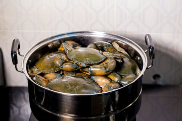 Steamed crab in pot.  live crabs in a pot. steaming shanghai hairy crabs, chinese cuisine. Steamed crab, Chinese seafood stalls.