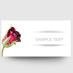 Business card design with rose and sample text