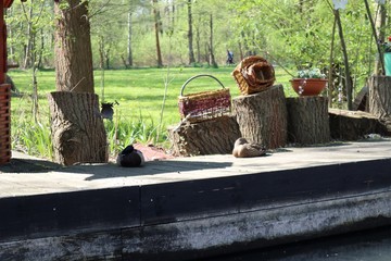 Spreewald Lübbenau Lehde Kahnfahrt Schifffahrt Ostern Familienausflug