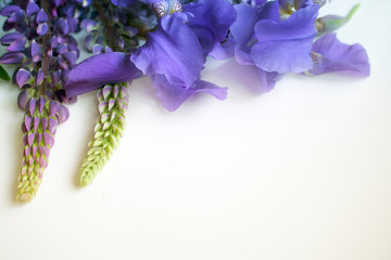 Naklejka premium wild flowers on a white background, irises and lilacs