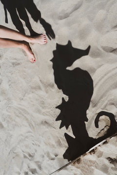 Seahorse shadow on the sand