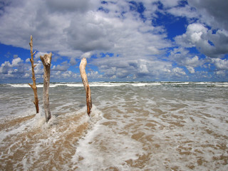 storm - Morze Bałtyckie - Plaża - mierzeja wiślana