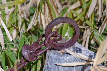 Rusty Chain and Eye Loop on Wooden Post