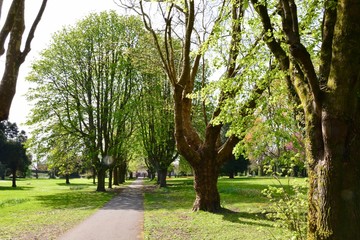 Y Betws Park Ammanford