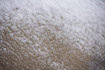 Frost on the ground macro photo