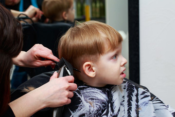 The little boy in the barber shop