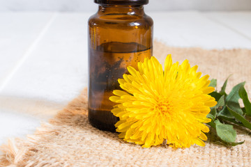 Bottle of essential oil with dandelion flowers in the foreground. Flower essential oil.