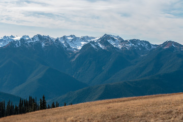 Olympic mountain range view from Hurricane Ridge v3