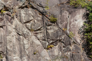 Grey stone background texture