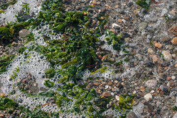 Overhead view of beach waves and foam v10