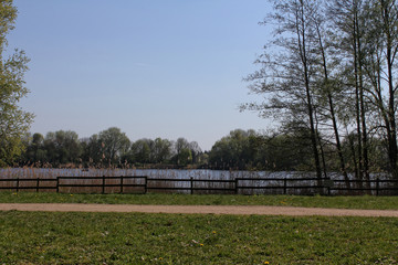 Fototapeta premium Am Eichbaumsee 03