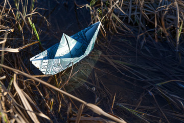 A toy paper boat out of a dollar bill stuck in the undergrowth