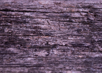 Rustic Wood Texture