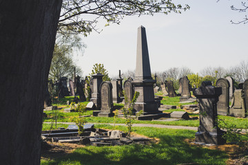 strary cmentarz w wiosnenny dzień