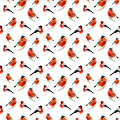 Figure bullfinches on a white background.