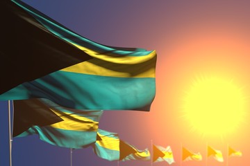 wonderful memorial day flag 3d illustration. - many Bahamas flags on sunset placed diagonal with selective focus and space for content