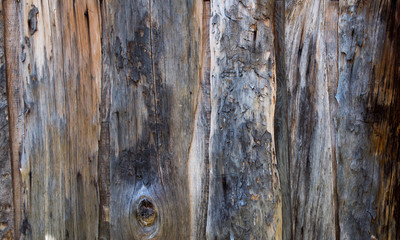 The Texture of old wood boards