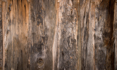 The Texture of old wood boards