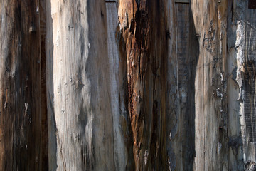 The Texture of old wood boards