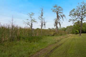 Lake Park Florida