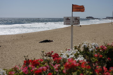 beach, sea, sign, sand, ocean, sky, water, coast, summer, blue, nature, landscape, travel, warning, direction, danger, waves, coastline, surf, australia, bay, horizon