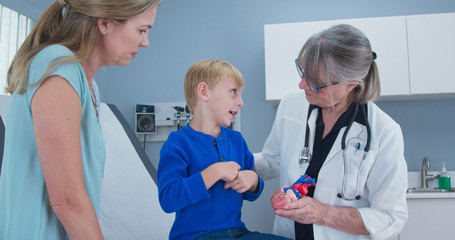 Senior woman pediatrician with heart model talking to little boy patient and his mother. Child looking at anatomical model with his doctor