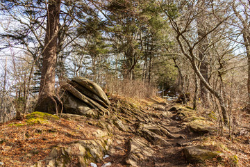 Appalachian Trail, hiking trail in the Great Smoky Mountains National Park