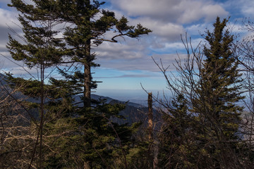 Fototapeta na wymiar Great Smoky Mountains National Park, Tennessee, USA