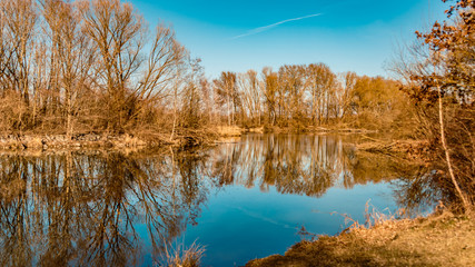 Beautiful reflections at a pond near Mamming-Bavaria-Germany