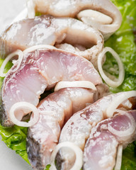 salmon slices on bread with microgrin